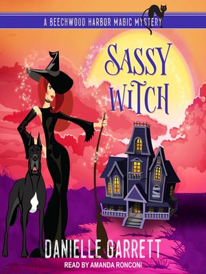 cover image of Sassy Witch